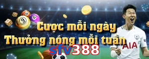 sfv388